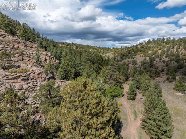 1828 Sioux Road Florissant, CO 80816 - Photo 46 of 49 Valley