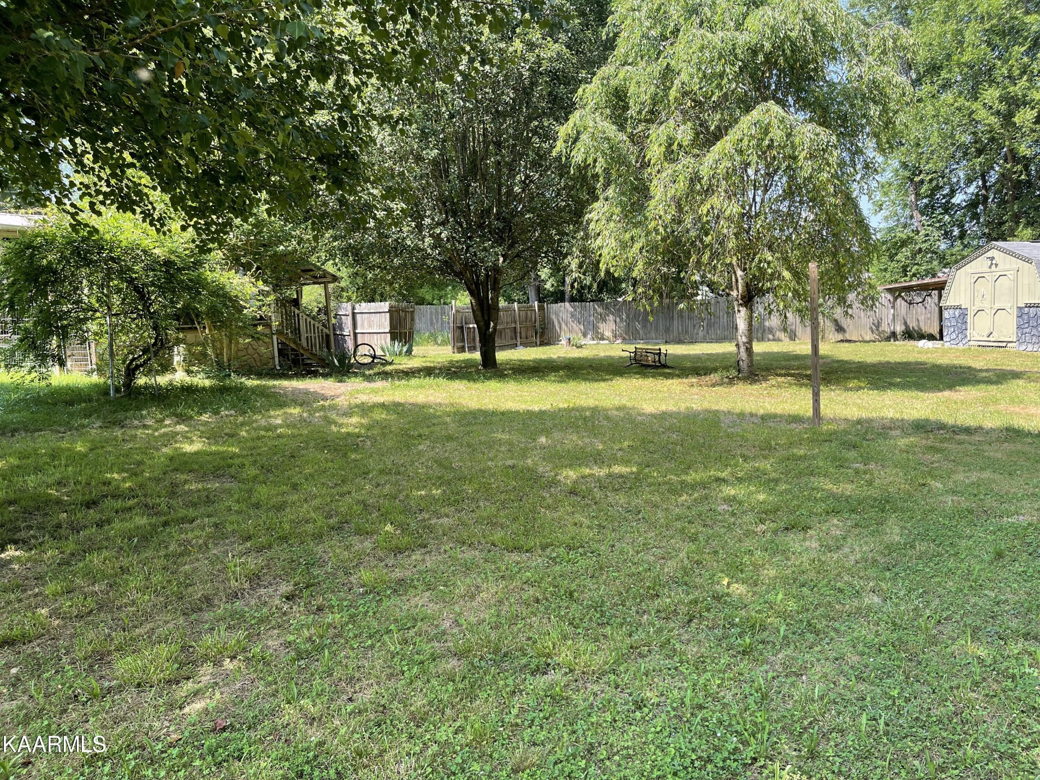 625 Miller Road Bybee, TN 37713 - Photo 1 of 34 a tall tree in middle of green field