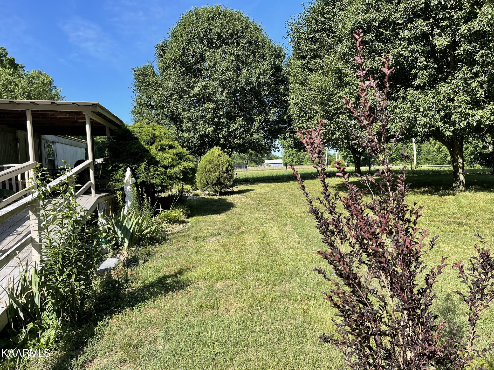 625 Miller Road Bybee, TN 37713 - Photo 14 of 34 a view of backyard with green space