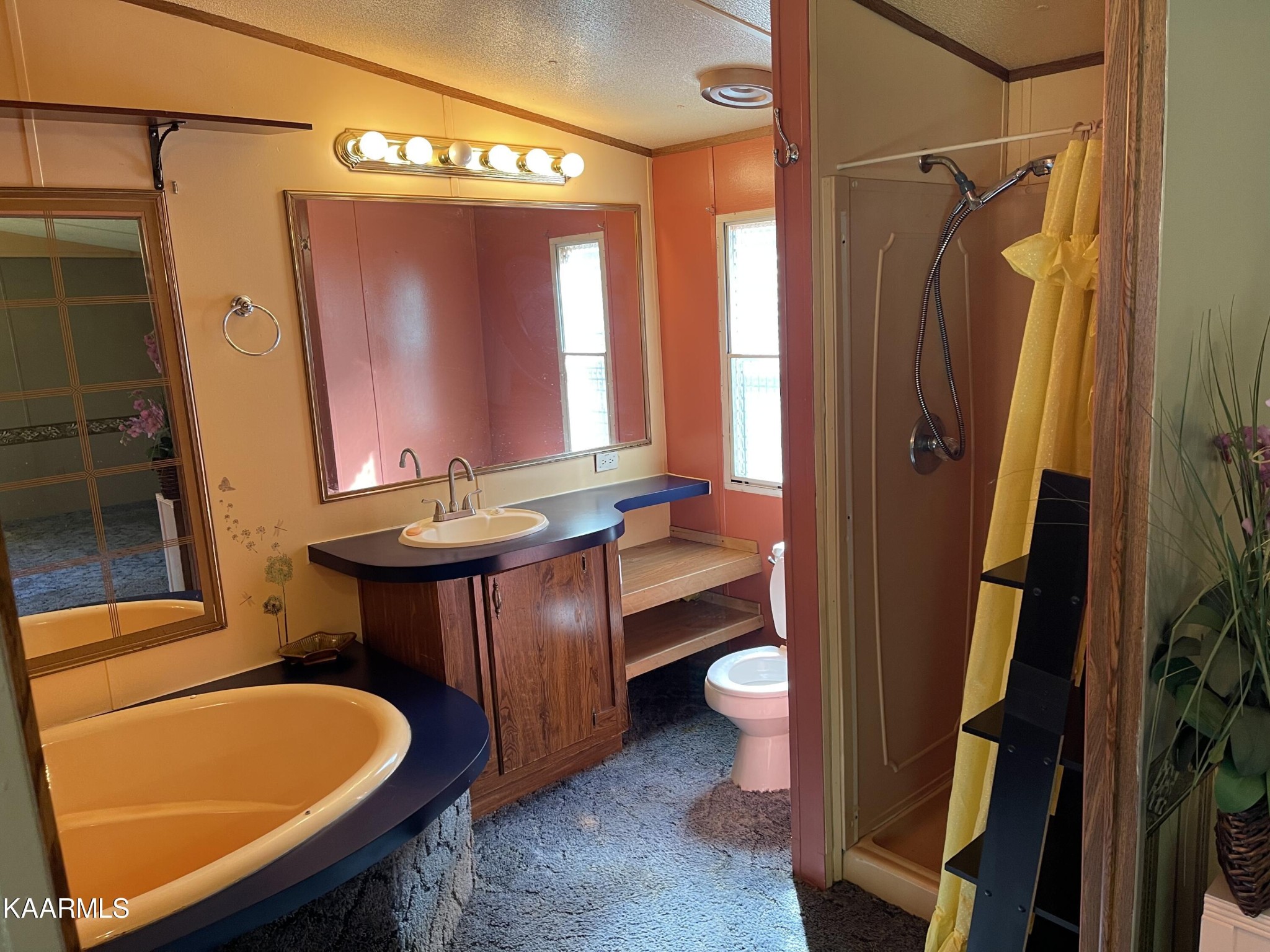 625 Miller Road Bybee, TN 37713 - Photo 22 of 34 a bathroom with a sink a toilet and mirror