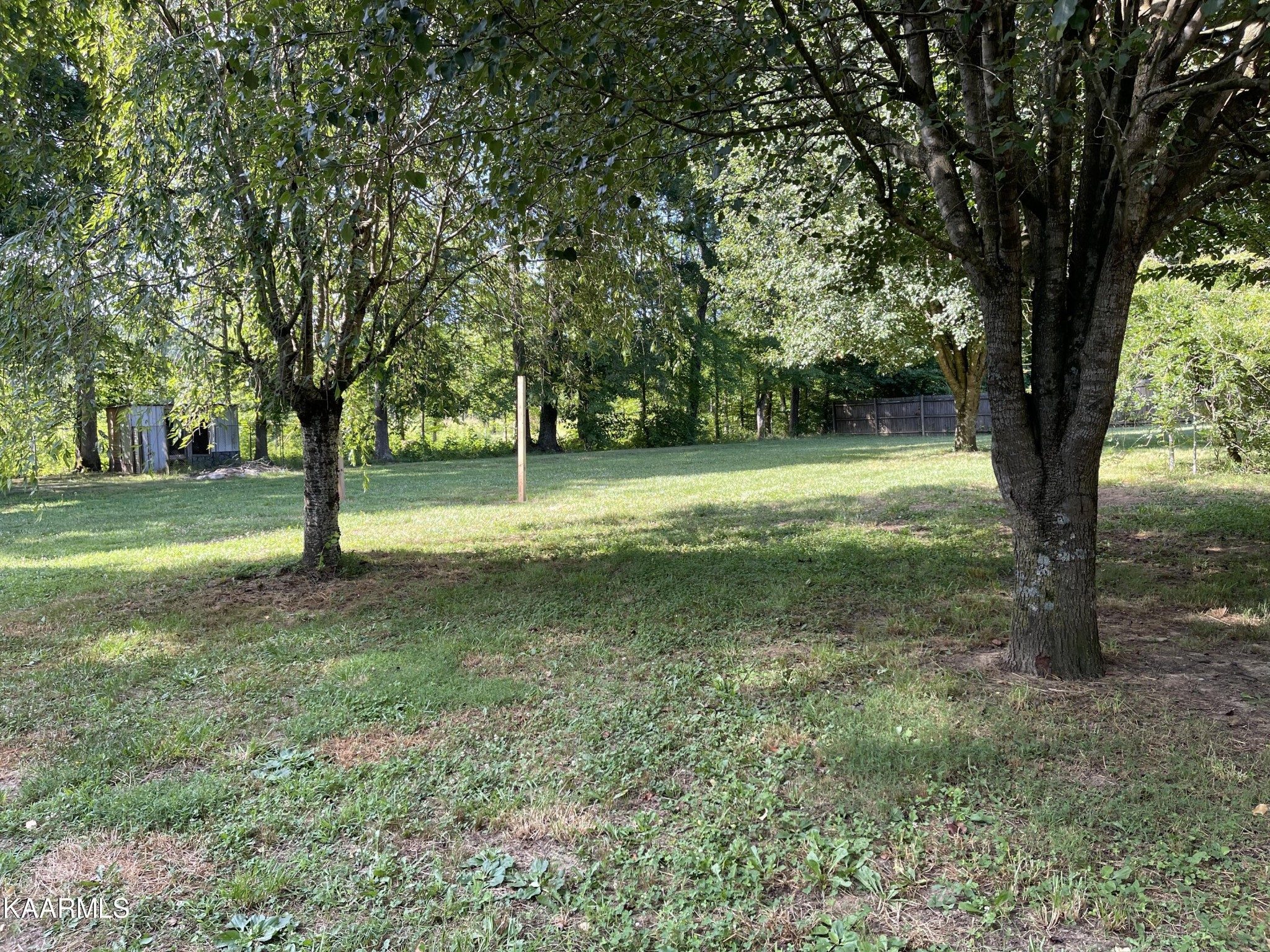 625 Miller Road Bybee, TN 37713 - Photo 30 of 34 a view of a trees in a yard