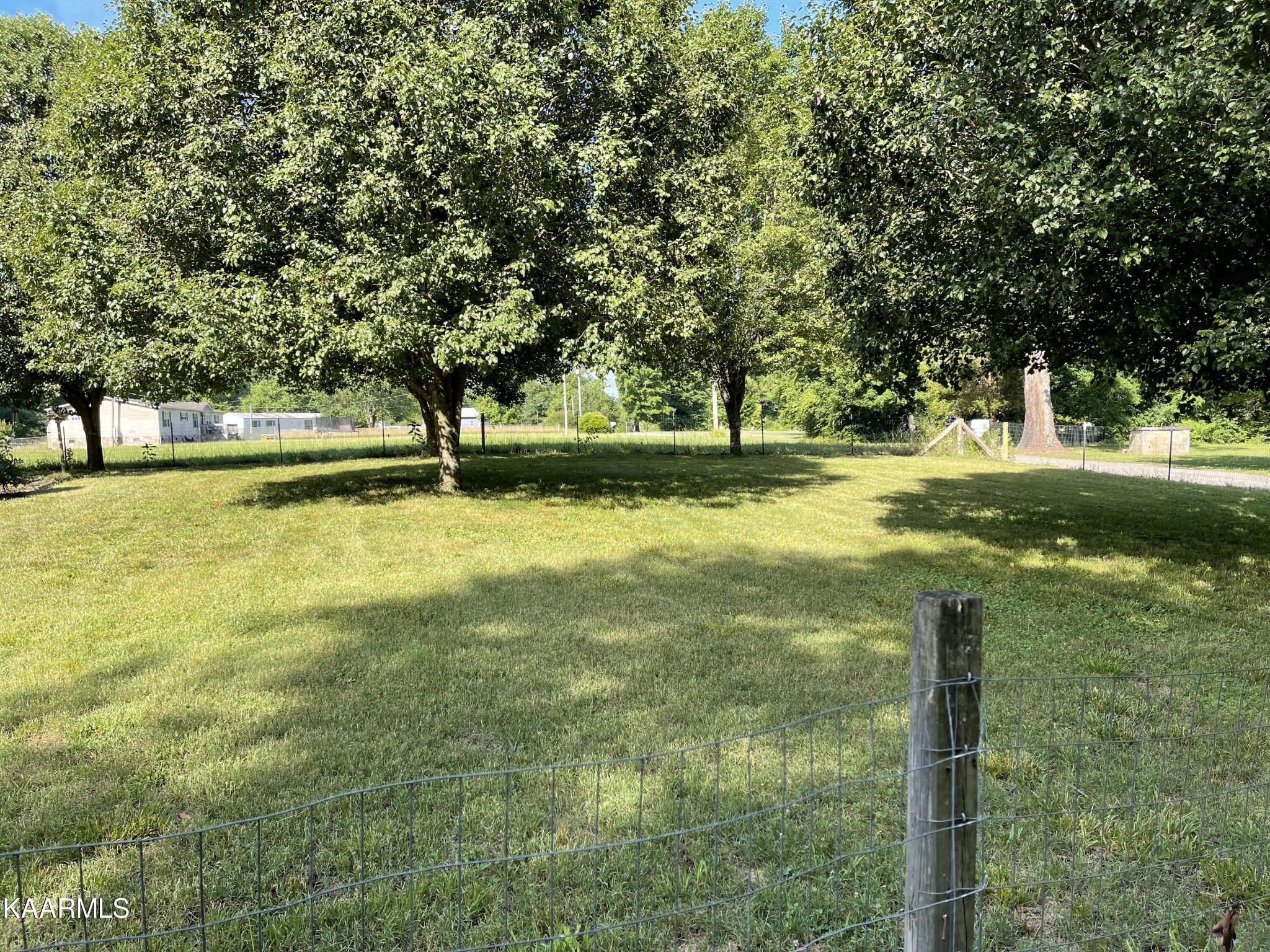 625 Miller Road Bybee, TN 37713 - Photo 33 of 34 a view of yard with trees