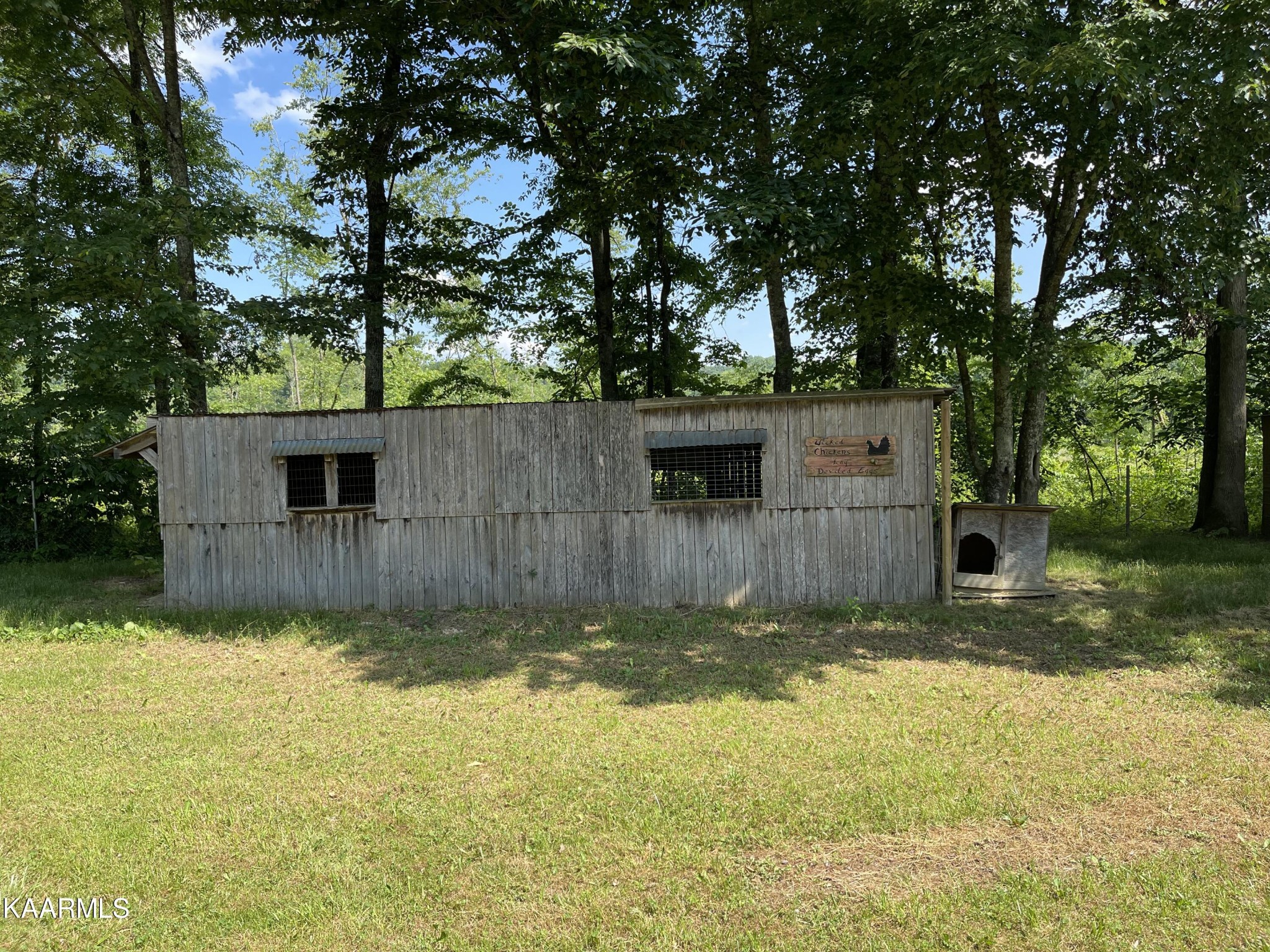 625 Miller Road Bybee, TN 37713 - Photo 9 of 34 a view of a backyard