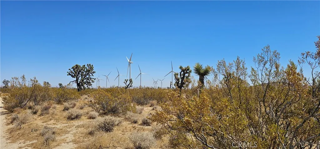 0 Forty Fifth Street West Mojave, CA 93501 - Photo 4 of 6