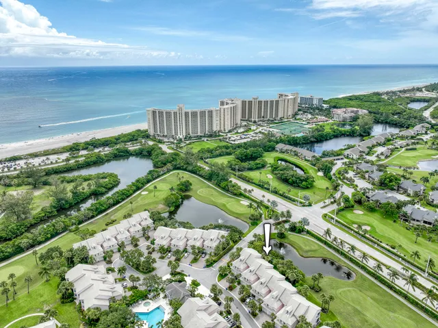 a view of a yard with flower plants