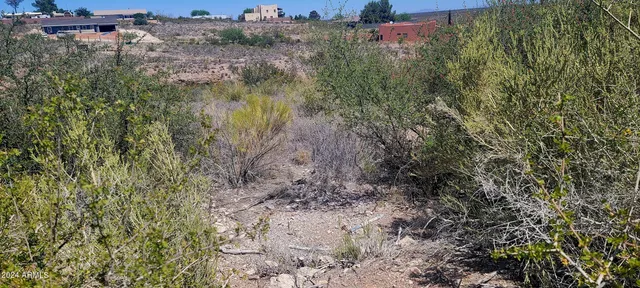 $9,800 | Lot 81 Apache Drive, Unit 81, Tombstone, AZ 85638