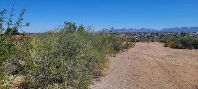 $9,800 | Lot 81 Apache Drive, Unit 81, Tombstone, AZ 85638