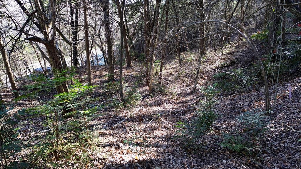 1917 Juniper Ridge Road Cedar Hill, TX 75104 - Photo 14 of 23
