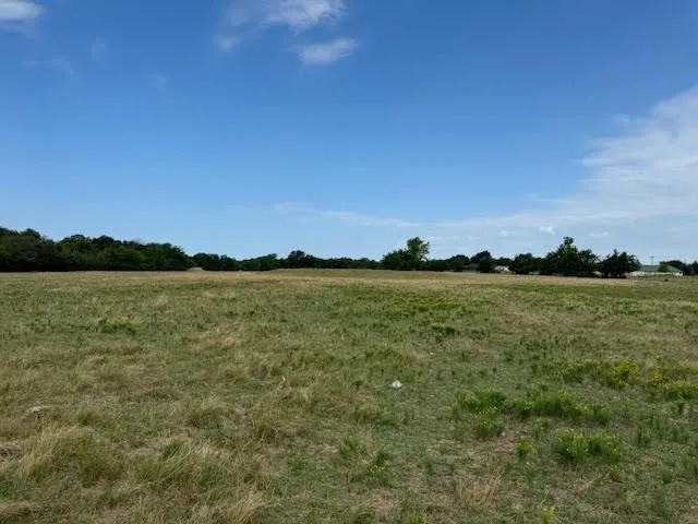 a view of a lake in middle of forest