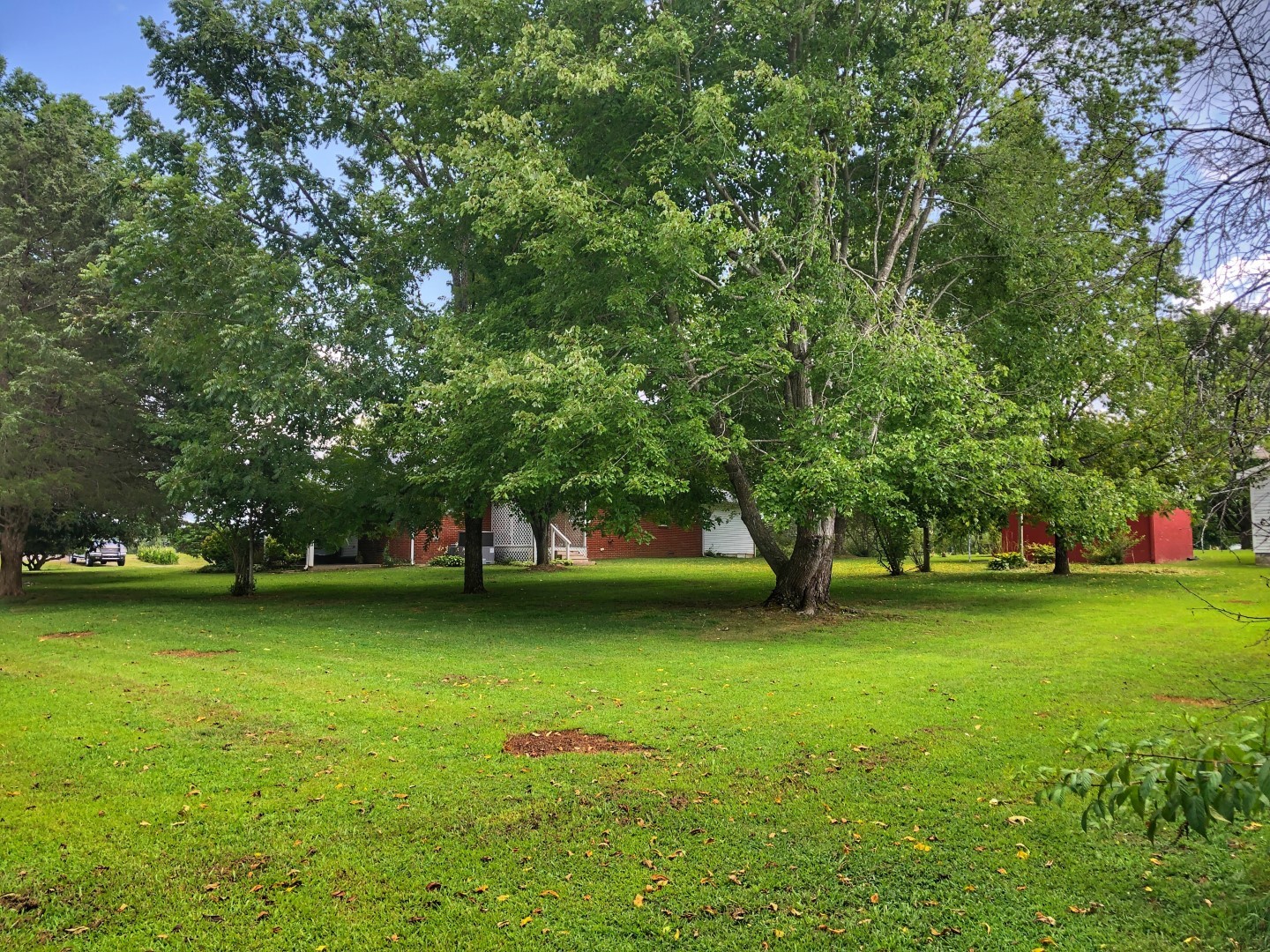 2241 Sylvia Road Dickson, TN 37055 - Photo 14 of 22 Gallery Image 14