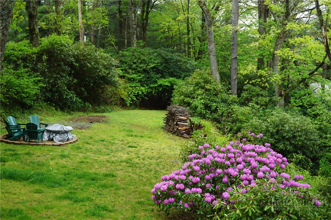 557 White Pine Road Newland, NC 28657 - Photo 40 of 41 a bunch of flowers are in a garden
