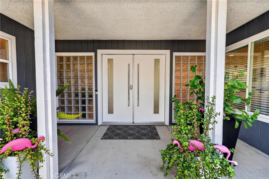 945 Le Conte Drive Riverside, CA 92507 - Photo 5 of 36 Look at these custom doors! Please don't pet the flamingos!