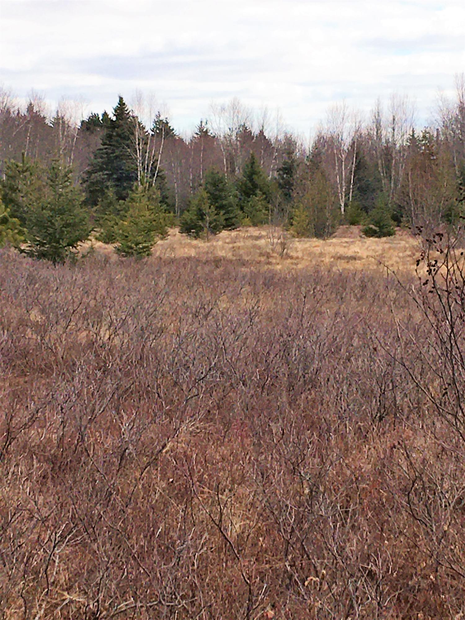0 Pineo Point Road Harrington, ME 04643 - Photo 36 of 39 IMG_4244