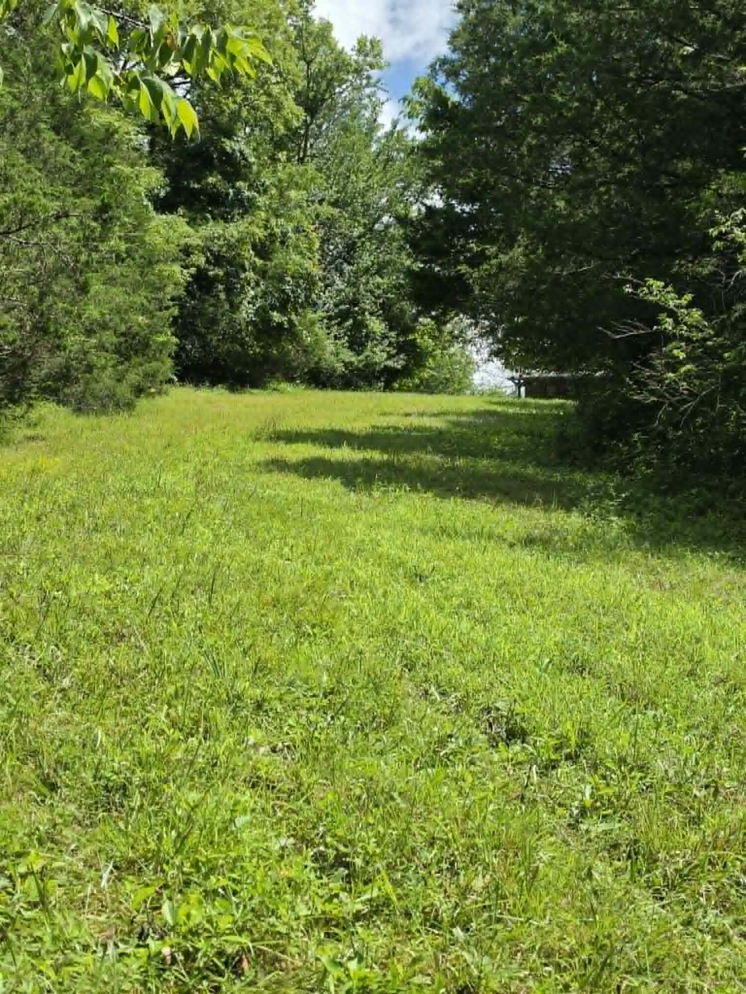 811 Hickory Ridge Road Waddy, KY 40076 - Photo 45 of 79 cleared area