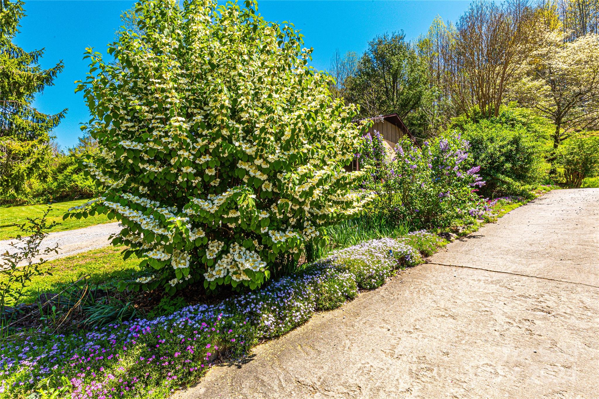 1111 Lemons Branch Road Bryson City, NC 28713 - Photo 34 of 43 Gallery Image 34