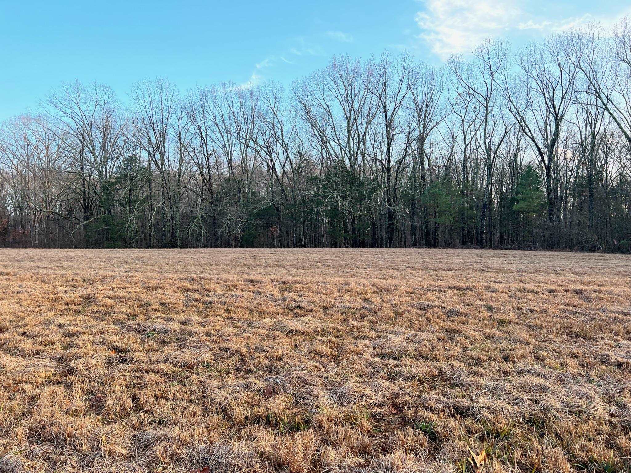 2 Boswell Road Holly Springs, MS 38635 - Photo 10 of 12 Gallery Image 10