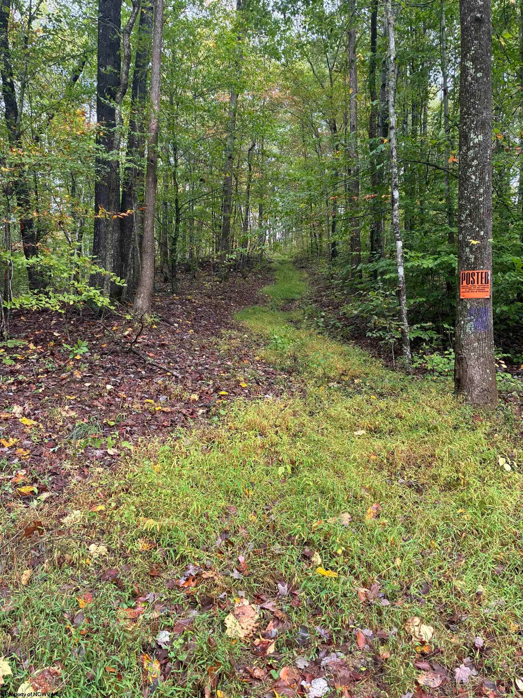 5150 Indian Road Salem, WV 26426 - Photo 25 of 38 Gallery Image 25
