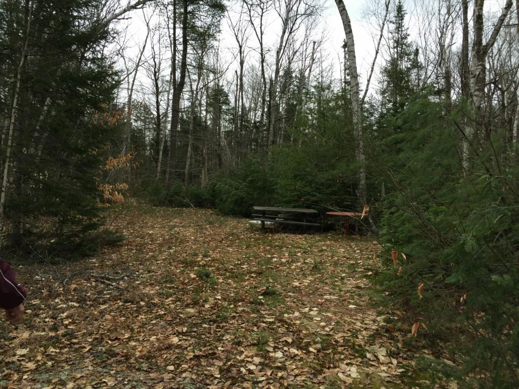 0 Bonneterre Road Waldo, ME 04915 - Photo 3 of 6 Picnic Area