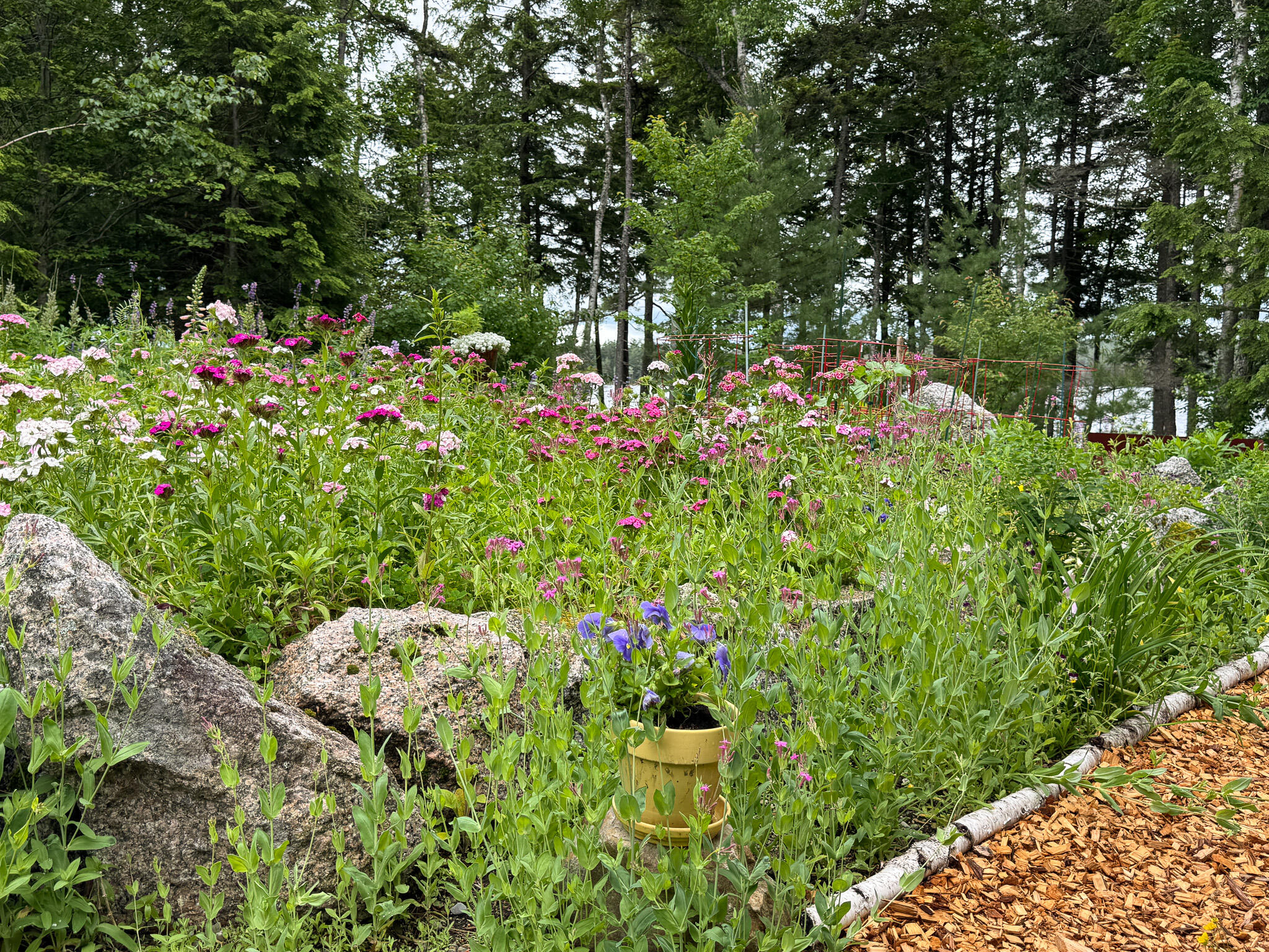 123 Eagle Pt Road Burlington, ME 04417 - Photo 9 of 36 9