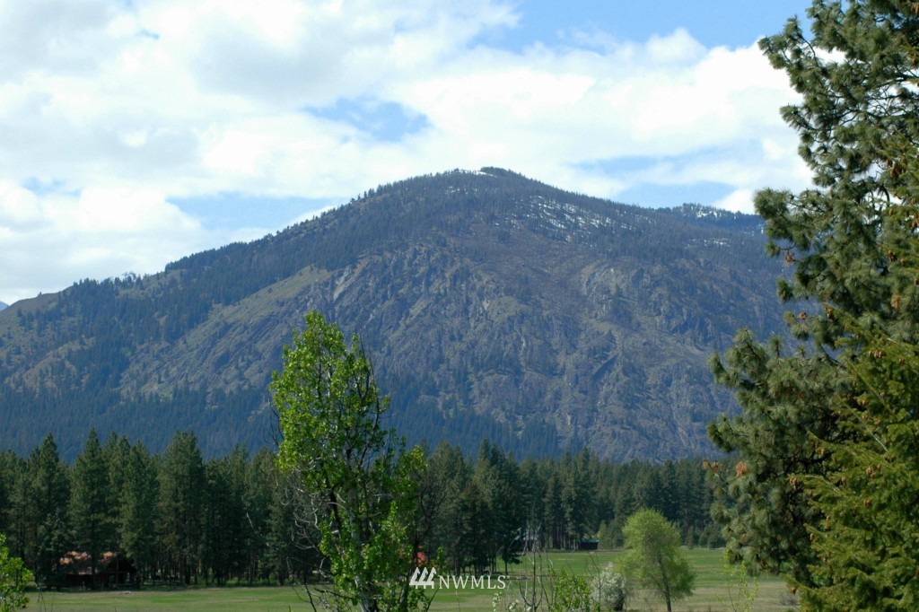 66 Chechaquo Ranch Road Mazama, WA 98833 - Photo 2 of 25 Gallery Image 2