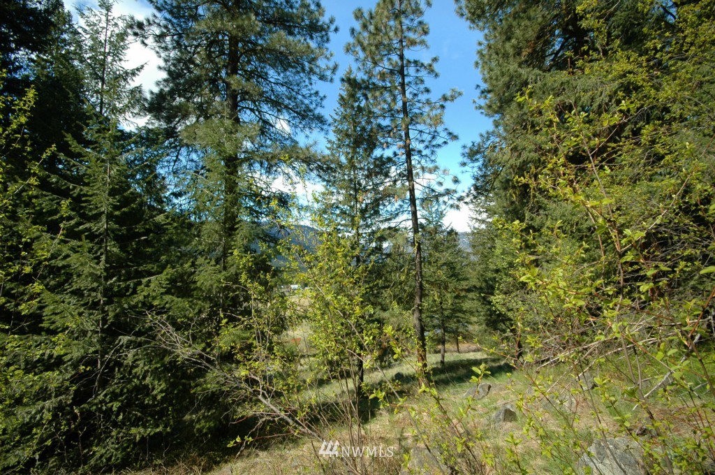 66 Chechaquo Ranch Road Mazama, WA 98833 - Photo 11 of 25 Gallery Image 11