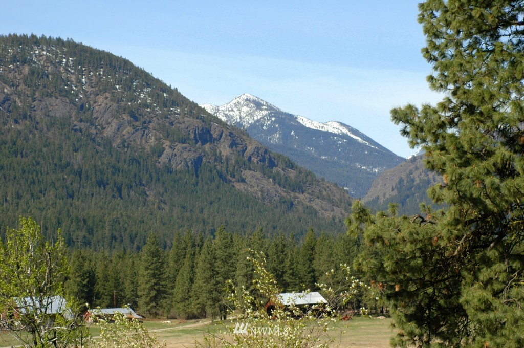 66 Chechaquo Ranch Road Mazama, WA 98833 - Photo 12 of 25 Gallery Image 12