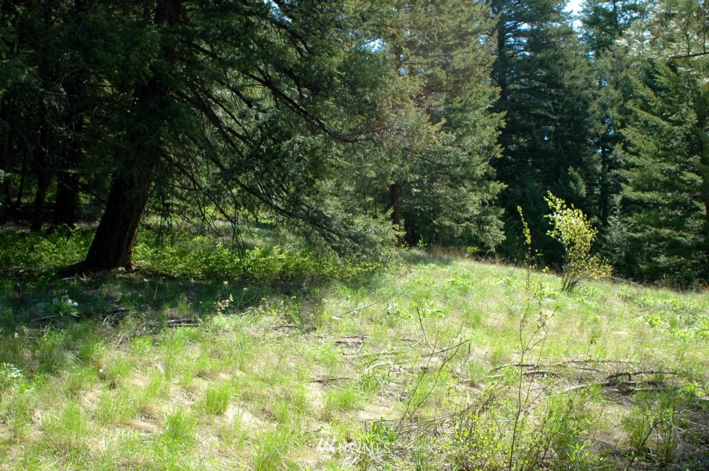 66 Chechaquo Ranch Road Mazama, WA 98833 - Photo 13 of 25 Gallery Image 13