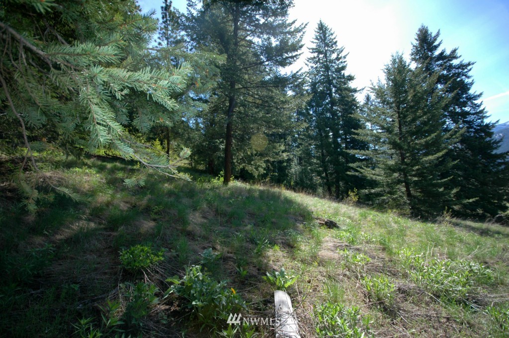 66 Chechaquo Ranch Road Mazama, WA 98833 - Photo 14 of 25 Gallery Image 14
