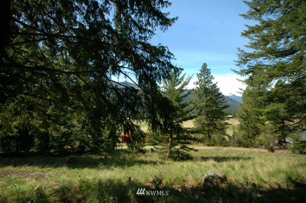 66 Chechaquo Ranch Road Mazama, WA 98833 - Photo 15 of 25 Gallery Image 15