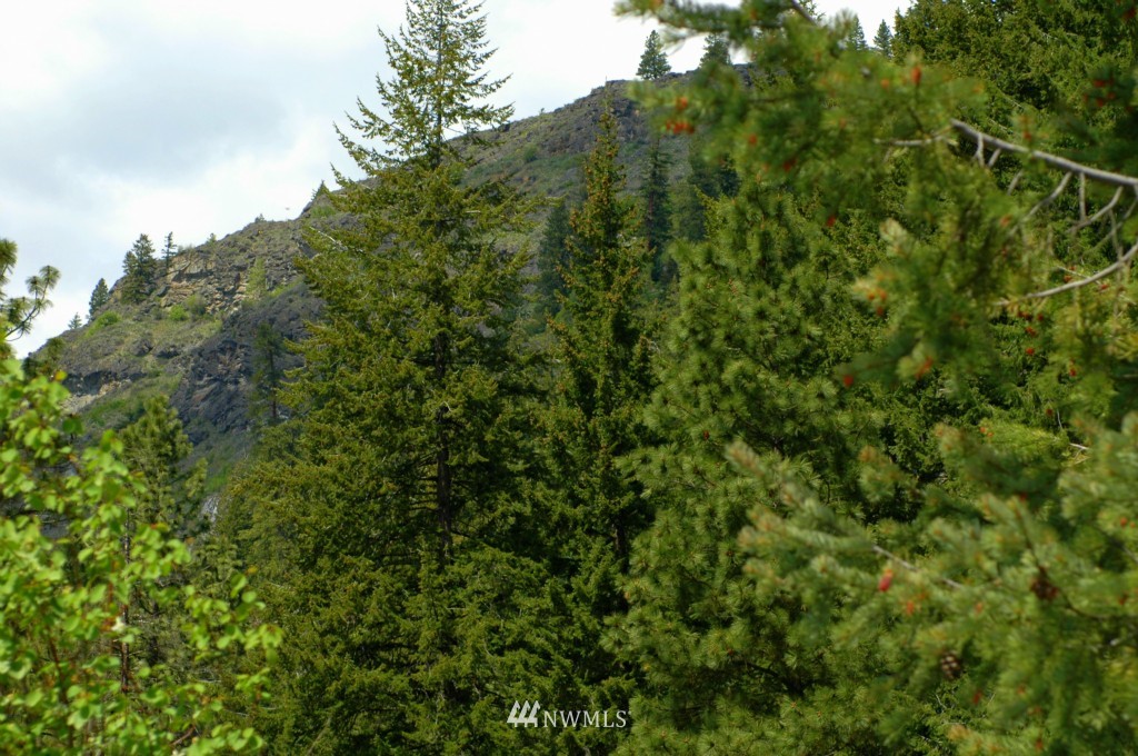 66 Chechaquo Ranch Road Mazama, WA 98833 - Photo 16 of 25 Gallery Image 16
