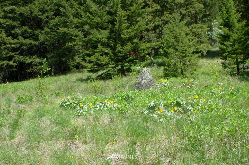 66 Chechaquo Ranch Road Mazama, WA 98833 - Photo 18 of 25 Gallery Image 18