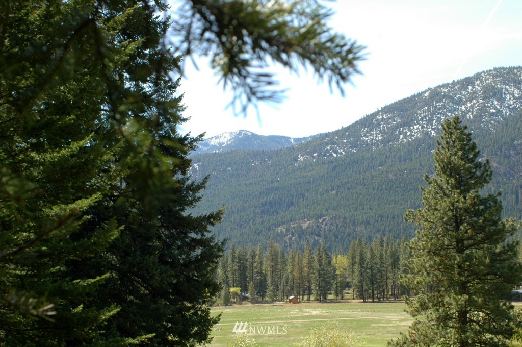 66 Chechaquo Ranch Road Mazama, WA 98833 - Photo 20 of 25 Gallery Image 20