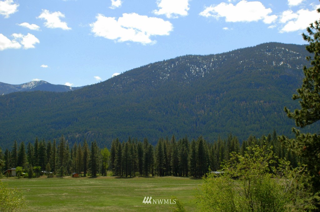 66 Chechaquo Ranch Road Mazama, WA 98833 - Photo 3 of 25 Gallery Image 3