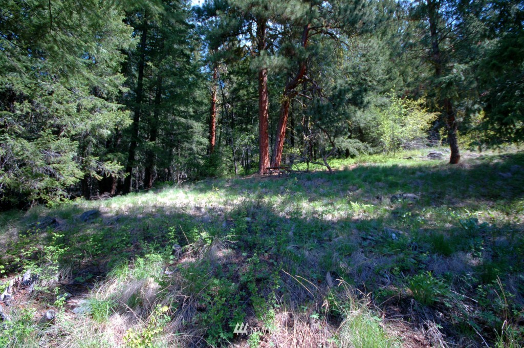66 Chechaquo Ranch Road Mazama, WA 98833 - Photo 21 of 25 Gallery Image 21
