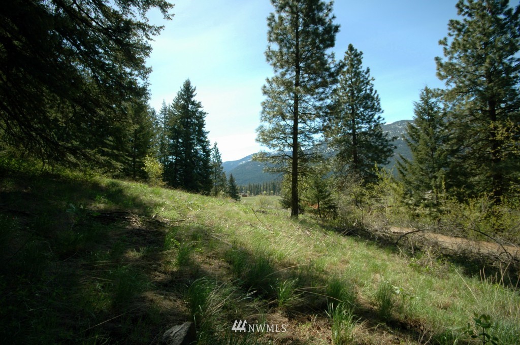 66 Chechaquo Ranch Road Mazama, WA 98833 - Photo 22 of 25 Gallery Image 22