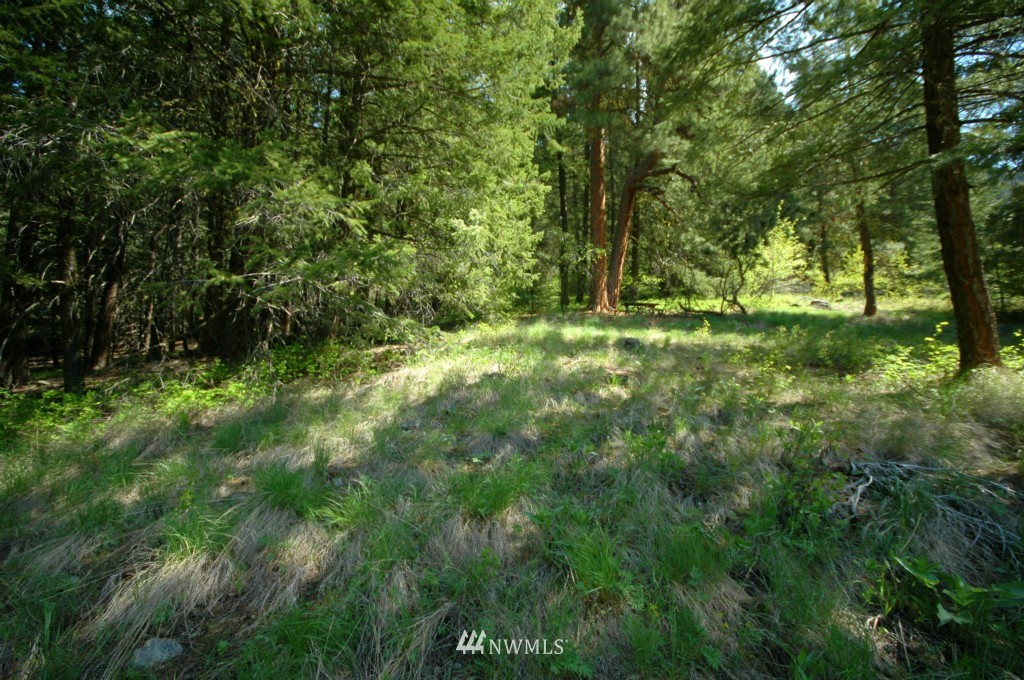 66 Chechaquo Ranch Road Mazama, WA 98833 - Photo 24 of 25 Gallery Image 24