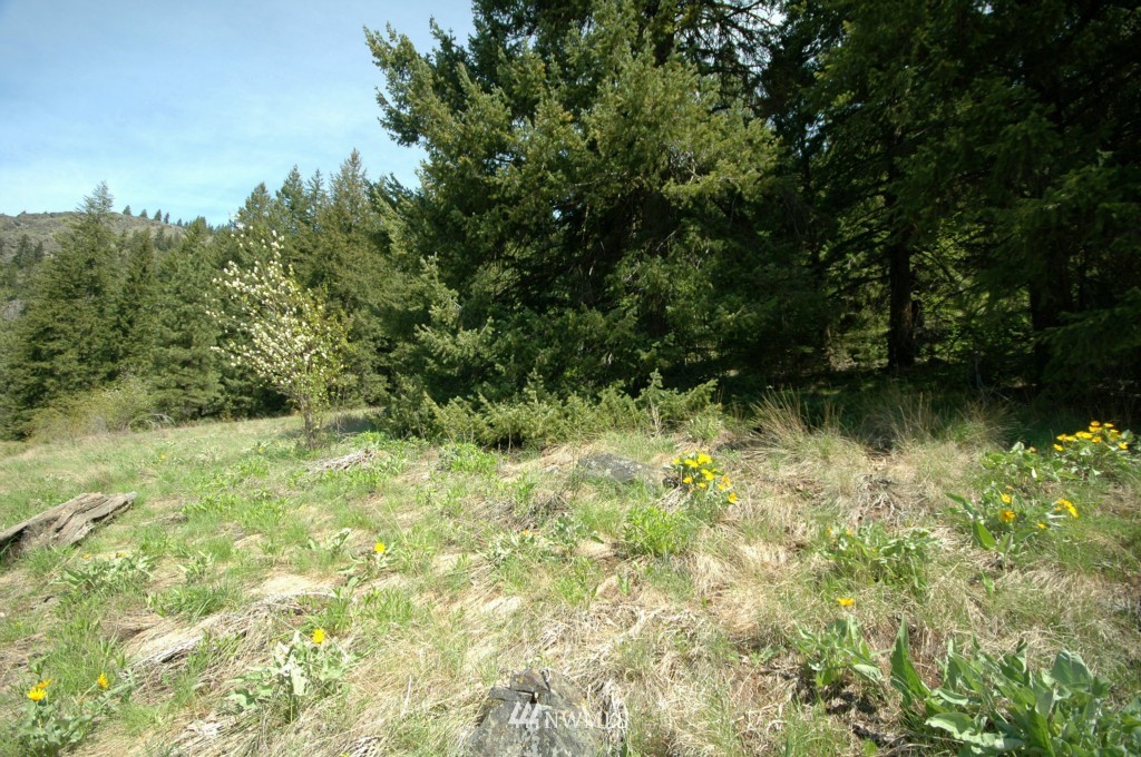 66 Chechaquo Ranch Road Mazama, WA 98833 - Photo 25 of 25 Gallery Image 25