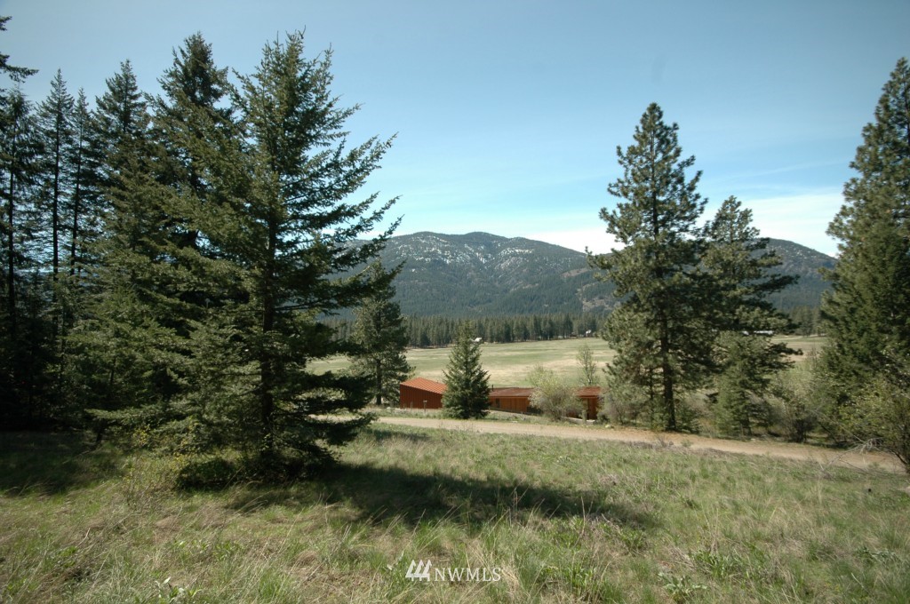 66 Chechaquo Ranch Road Mazama, WA 98833 - Photo 6 of 25 Gallery Image 6