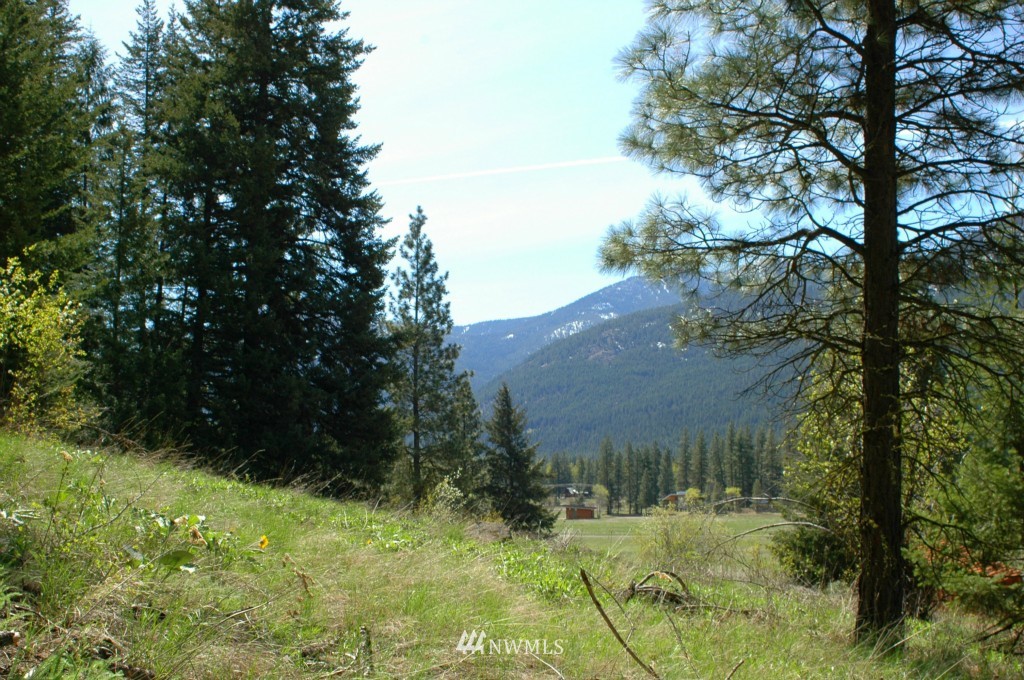 66 Chechaquo Ranch Road Mazama, WA 98833 - Photo 7 of 25 Gallery Image 7