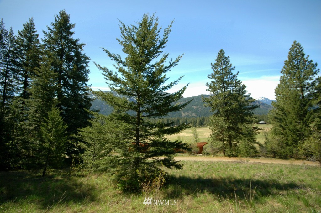 66 Chechaquo Ranch Road Mazama, WA 98833 - Photo 8 of 25 Gallery Image 8