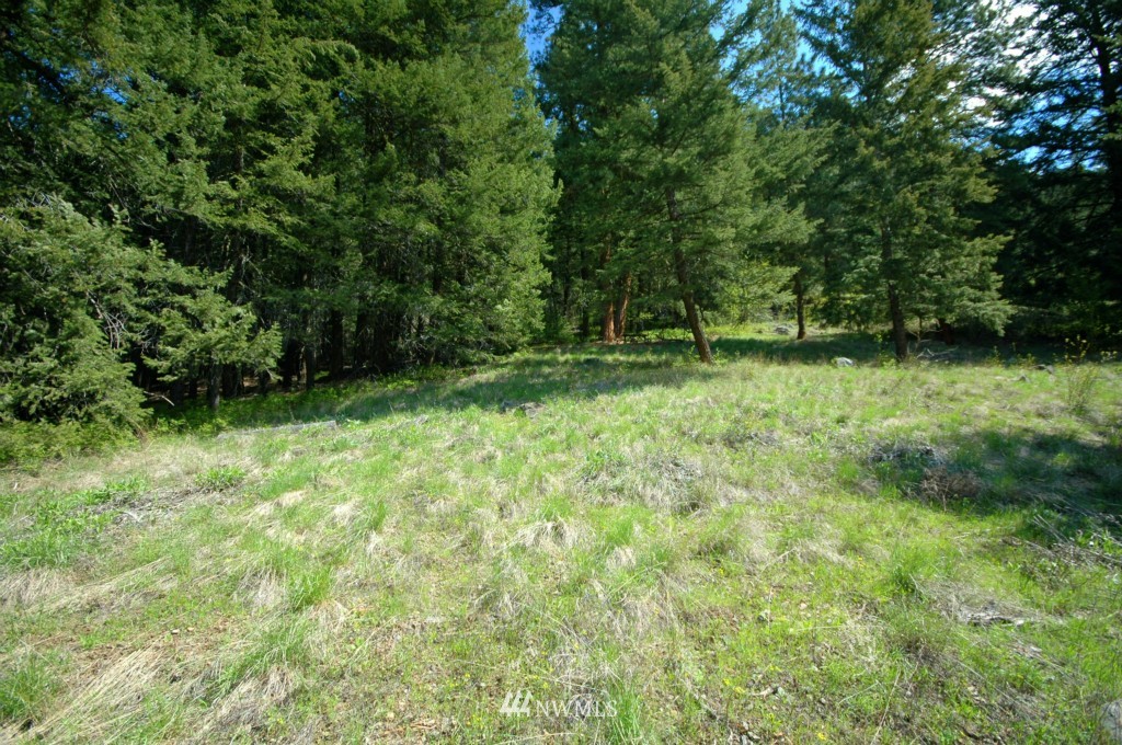 66 Chechaquo Ranch Road Mazama, WA 98833 - Photo 9 of 25 Gallery Image 9