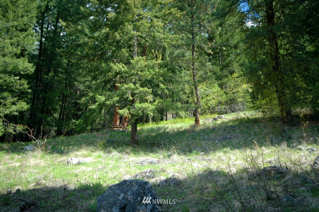 66 Chechaquo Ranch Road Mazama, WA 98833 - Photo 10 of 25 Gallery Image 10