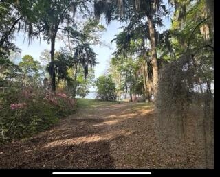 2361 Princess Pond Road Summerton, SC 29148 - Photo 17 of 18 IMG_7549