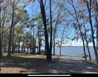 2361 Princess Pond Road Summerton, SC 29148 - Photo 2 of 18 IMG_7548
