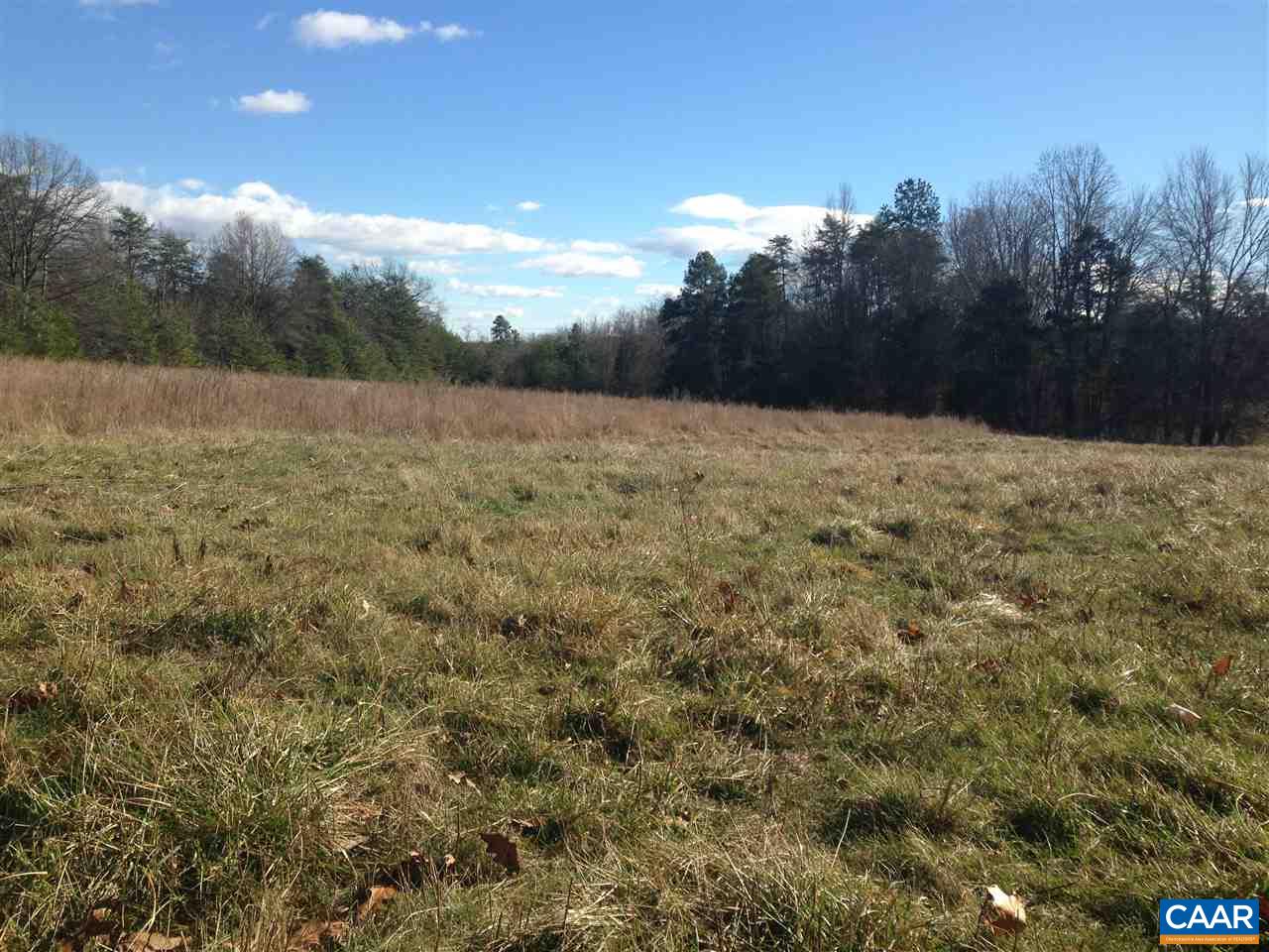 Lot E Haden Martin Road Palmyra, VA 22963 - Photo 3 of 3 Gallery Image 3