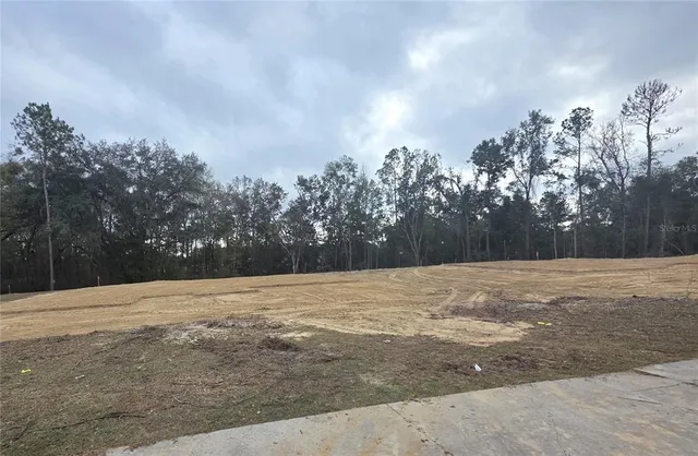 a view of an outdoor space