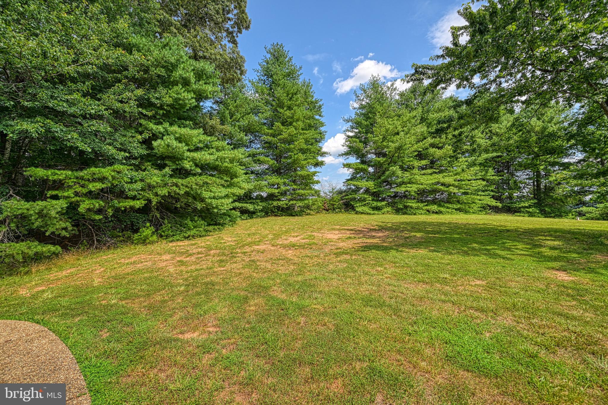 3716 Martin Kings Road Charlottesville, VA 22902 - Photo 8 of 69 Gallery Image 8