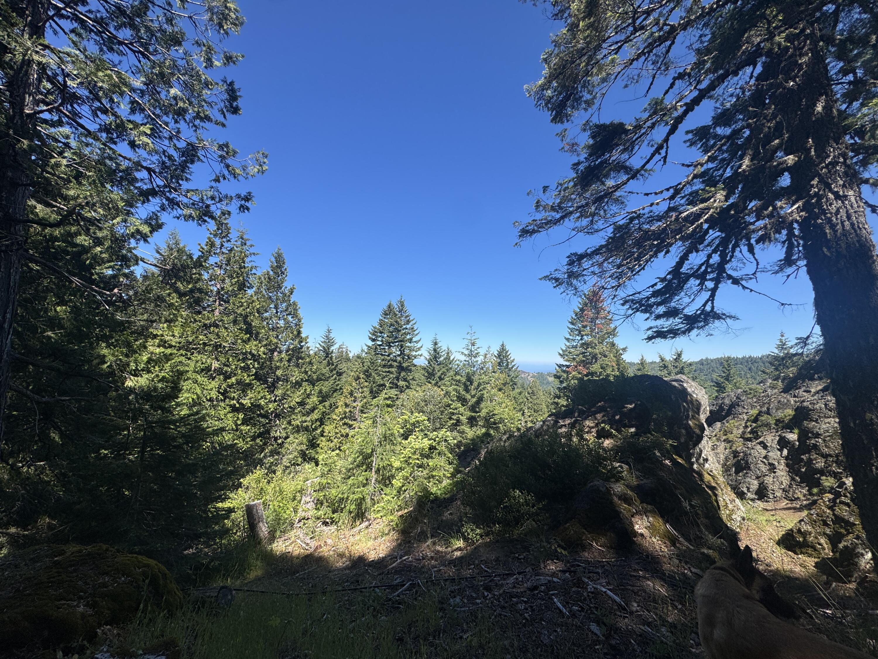 40-acres Snow Camp Road Korbel, CA 95550 - Photo 15 of 26