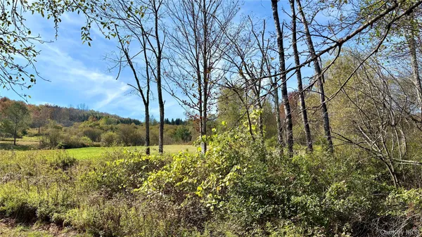 $299,900 | 4188 Highway 52, Youngsville, NY 12791