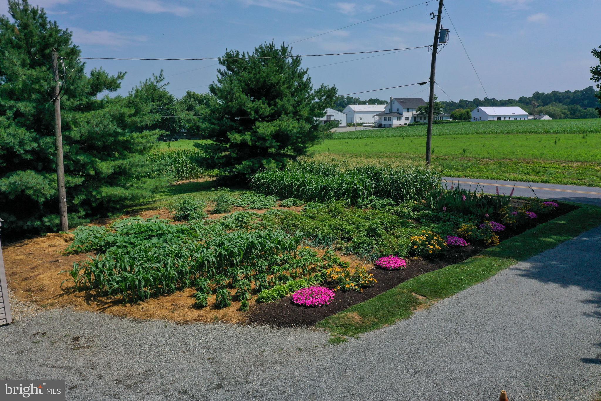 2006 Cherry Hill Road Peach Bottom, PA 17563 - Photo 10 of 56